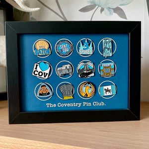 Full set of Year One pin badges and display frame